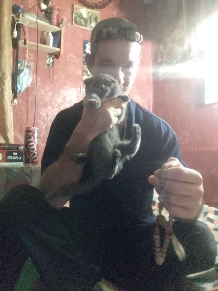 ���������� ������, ���� ������� ���������, 40 ���, ������������ ��� ������, c�������� ���������