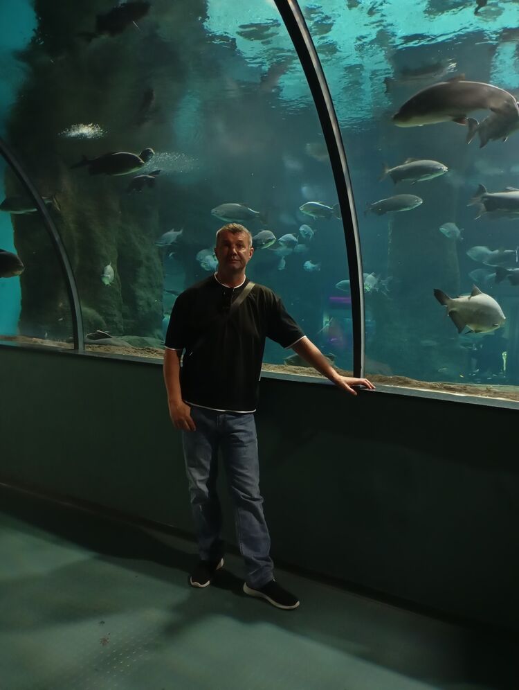 ���� 53506331 ������� ������, 47 ���, ���� ���������� � ������