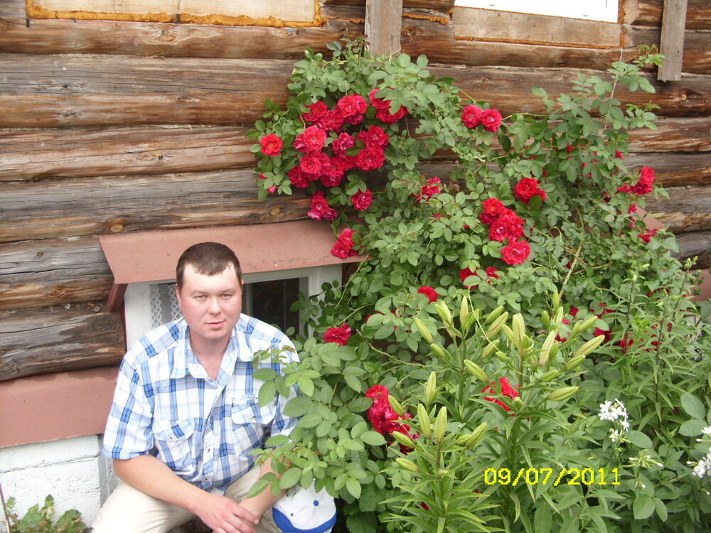 ���������� �����, ���� ������� �����, 44 ����, ������������ ��� ������