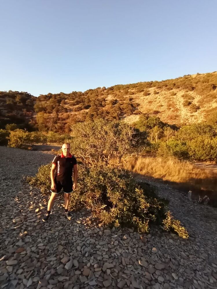  26479351  , 41 ,    --