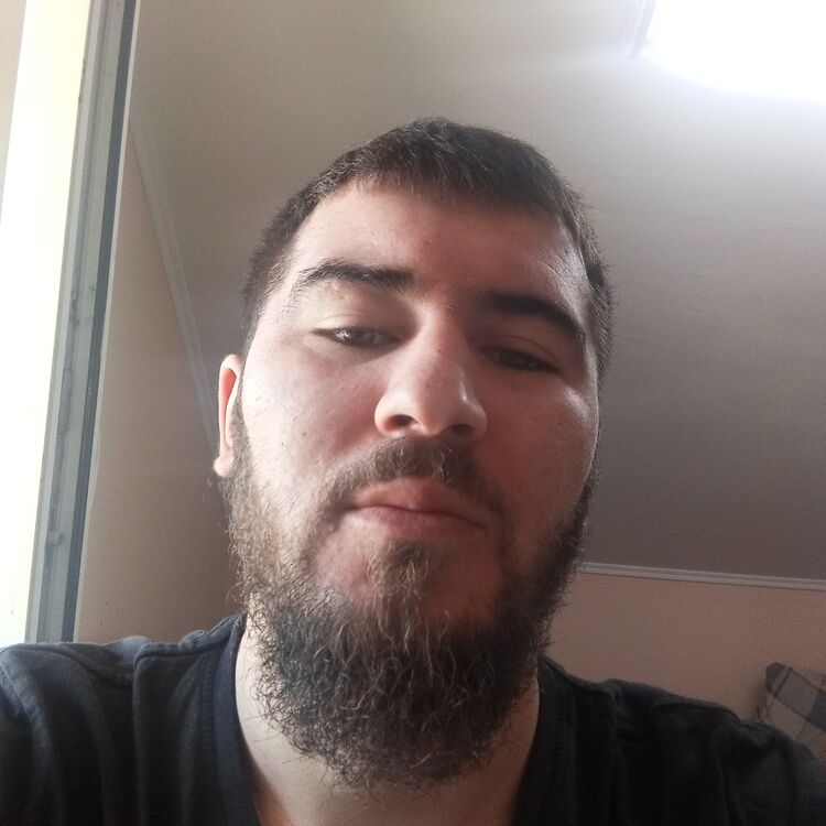 ���� 51704631 ������� �����, 33 ����, ���� ���������� � ������