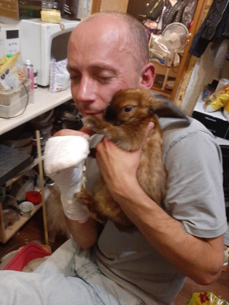 ���������� �����-���������, ���� ������� ����, 30 ���, ������������ ��� ����� � ���������, ���������