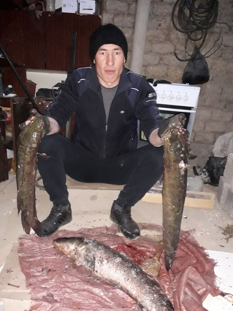 ���� 56254581 ������� Alek, 32 ����, ���� ���������� � �������