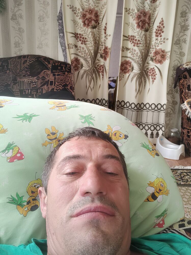  35565221  , 43 ,     