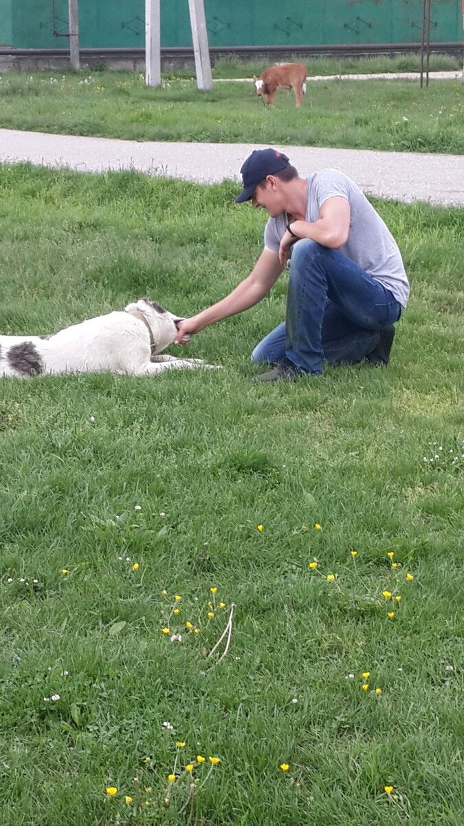 ���������� �������, ���� ������� ������, 34 ����, ������������ ��� ������, ����� � ���������, c�������� ���������