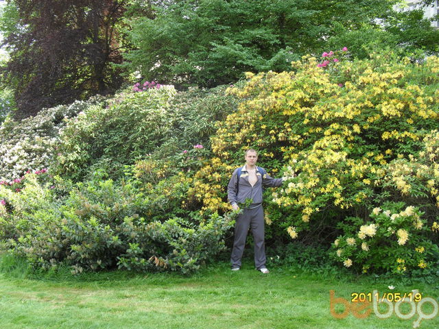 ���������� ������, ���� ������� ����, 43 ����, ������������ 