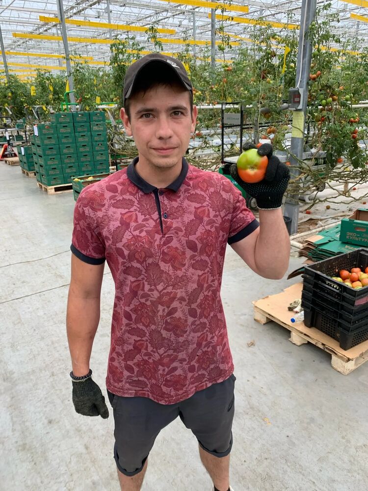  ,   Ilya, 27 ,   ,   , c , 