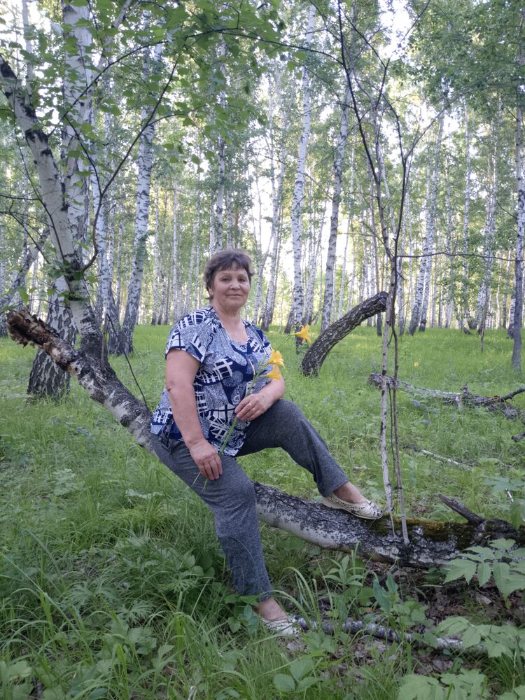 ���� 53363701 ������� �������, 66 ���, ���� ���������� � �����������