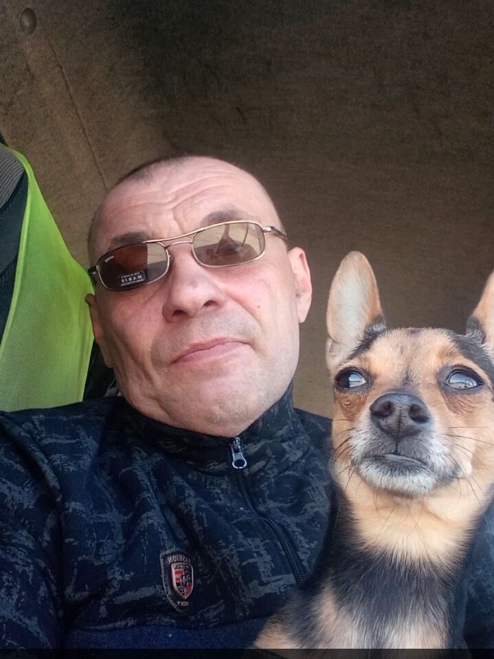 ���������� ������������, ���� ������� ��������, 50 ���, ������������ ��� ������, ����� � ���������, c�������� ���������