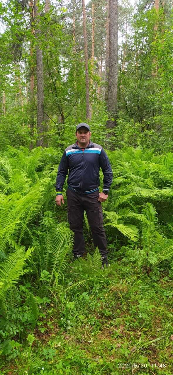 ���������� �����������, ���� ������� ���, 45 ���, ������������ 