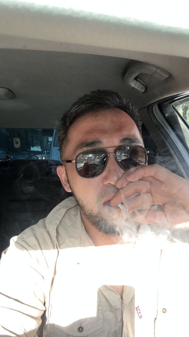 ���� 36344501 ������� Siko, 35 ���, ���� ���������� � ������