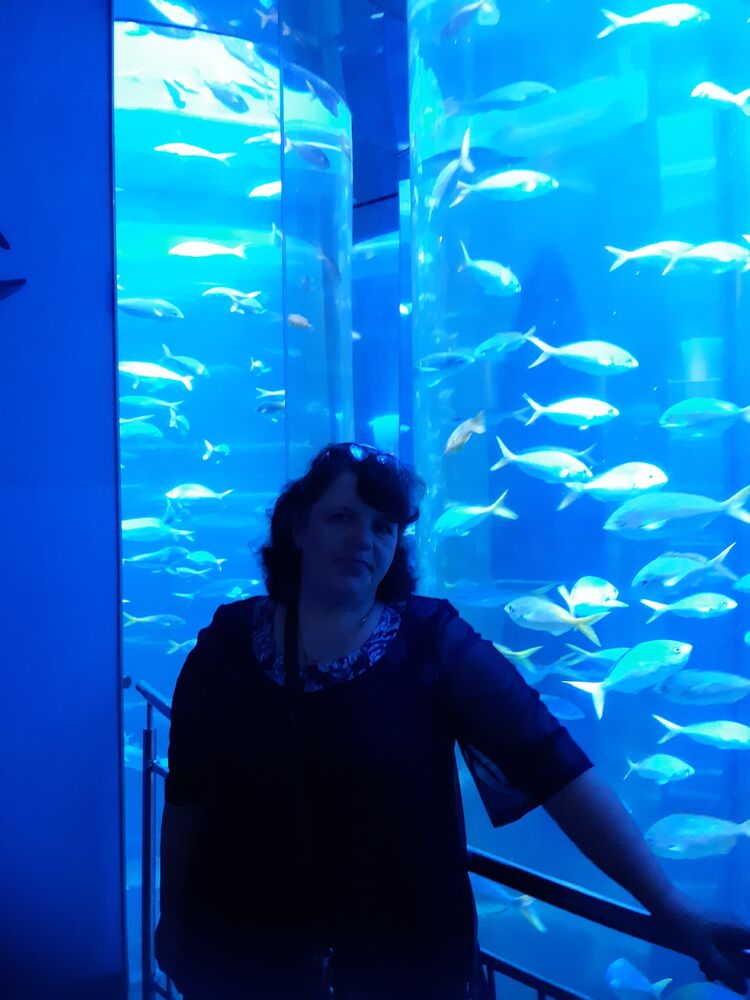  27260961  , 57 ,    -