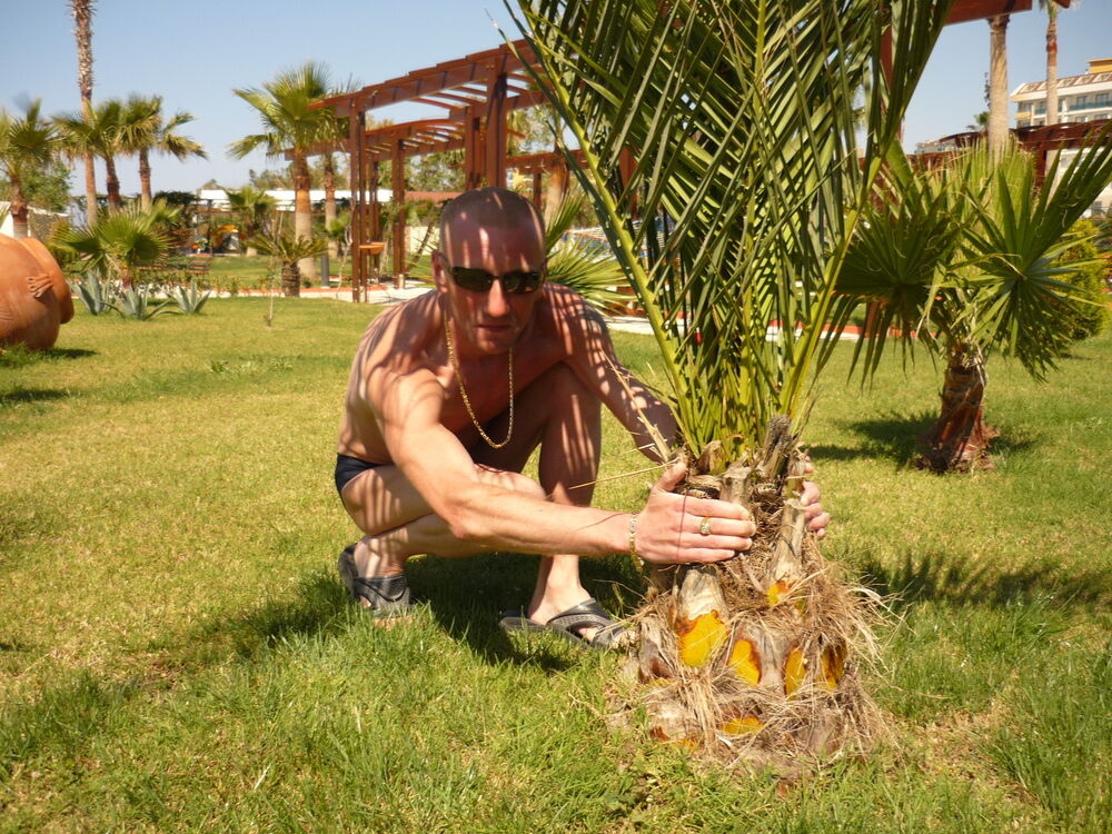 ���������� ������, ���� ������� ����, 48 ���, ������������ ��� ������, ����� � ���������