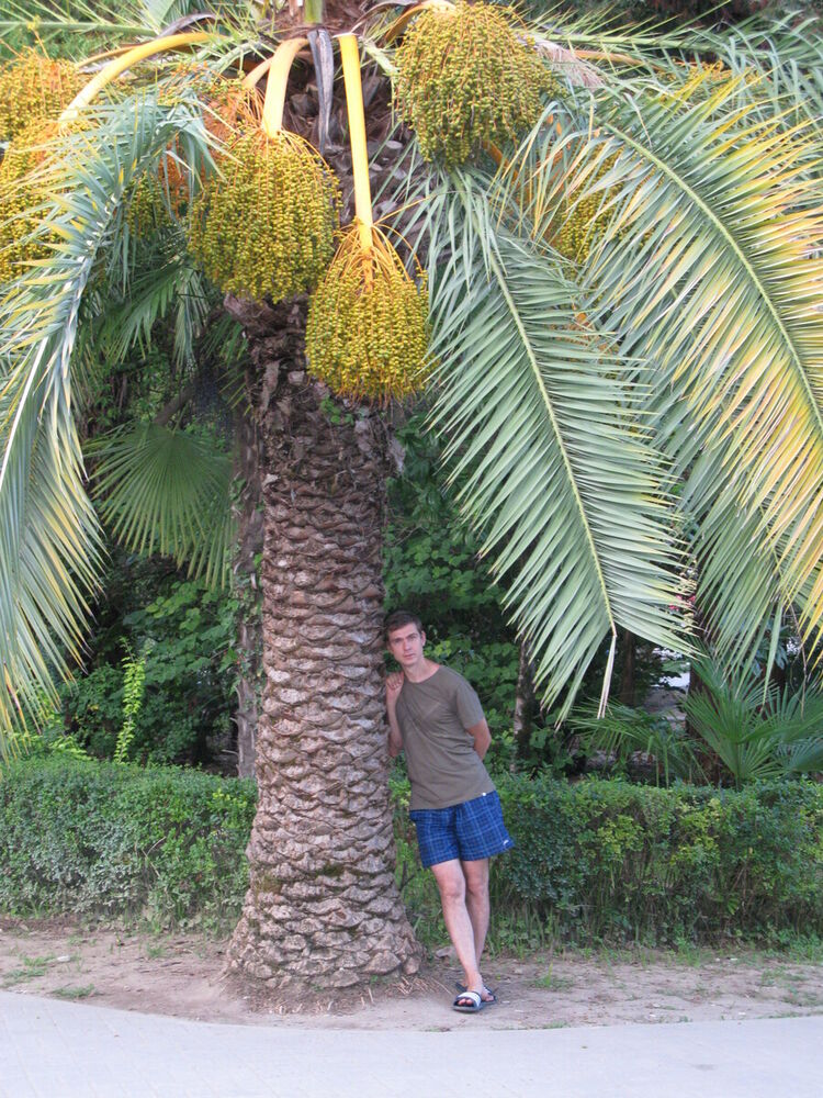 ���� 20342881 ������� �����, 44 ����, ���� ���������� � �����