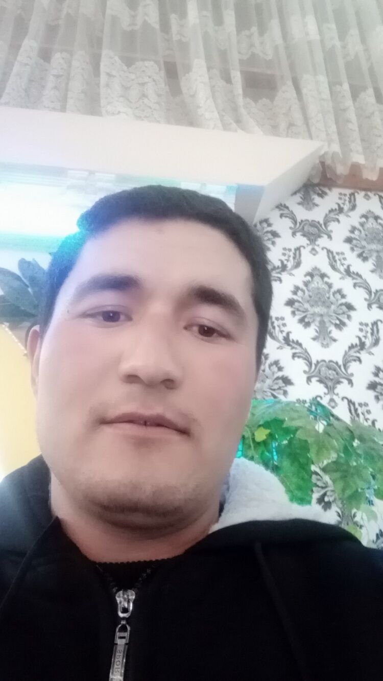  31335821  , 34 ,    