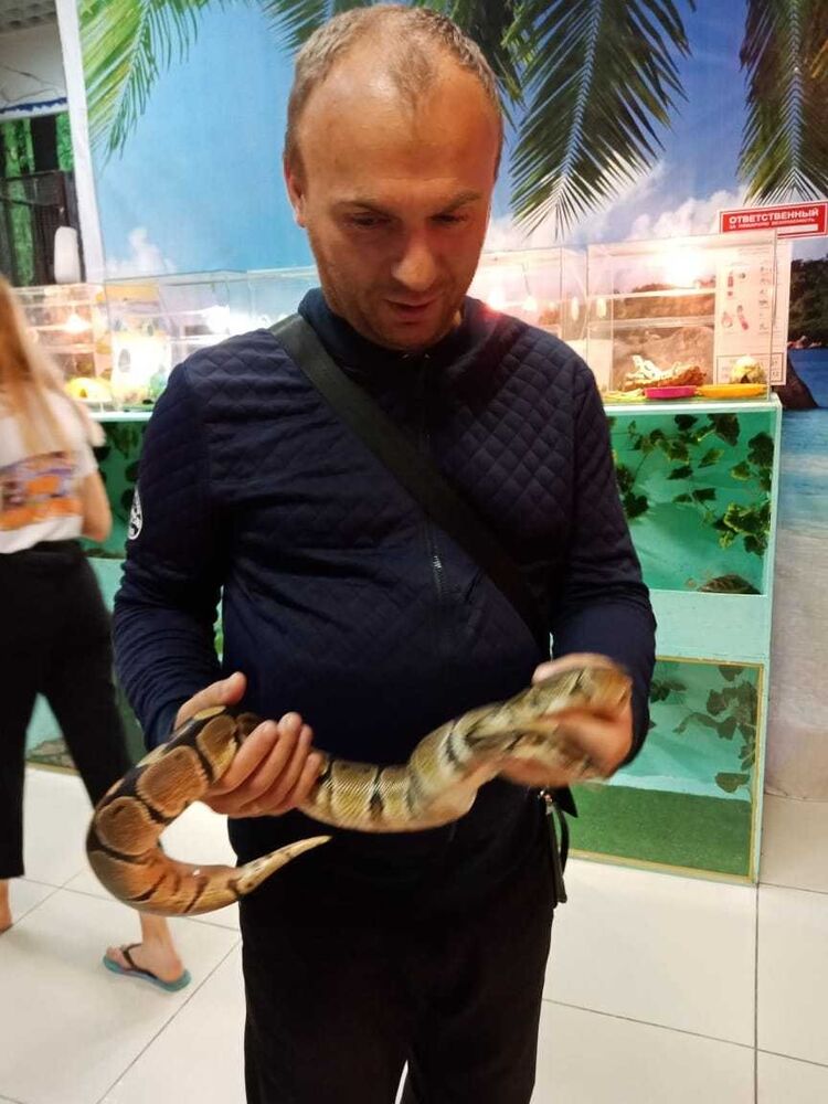 ���� 16663901 ������� �������, 44 ����, ���� ���������� � �����