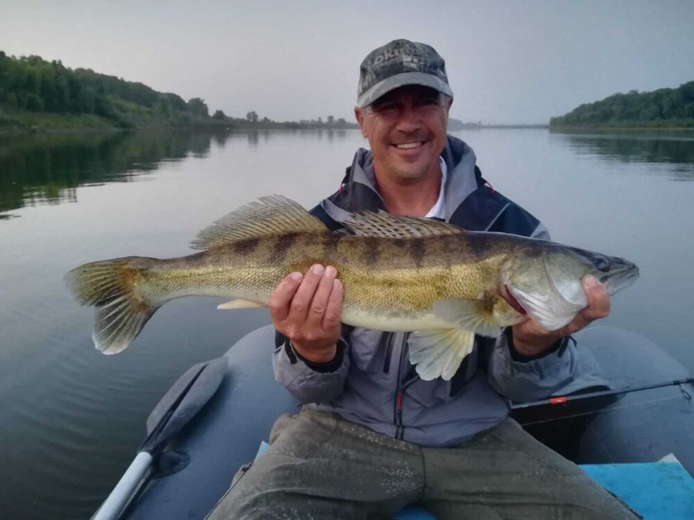 ���������� ���, ���� ������� �����, 55 ���, ������������ ��� ����� � ���������, c�������� ���������