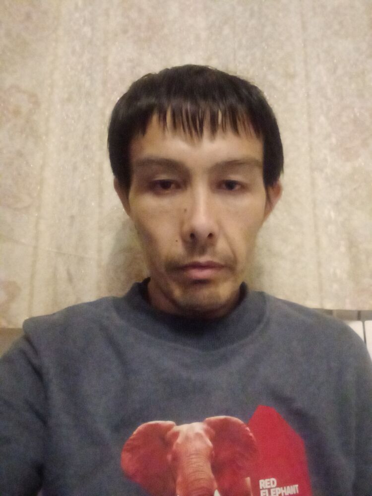  24040971  , 41 ,    -