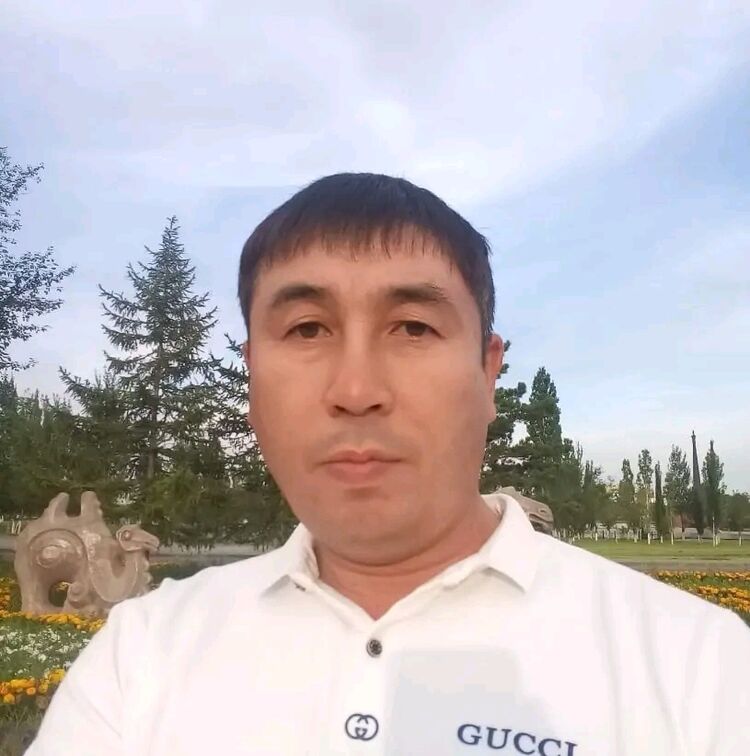  38399801  , 50 ,    