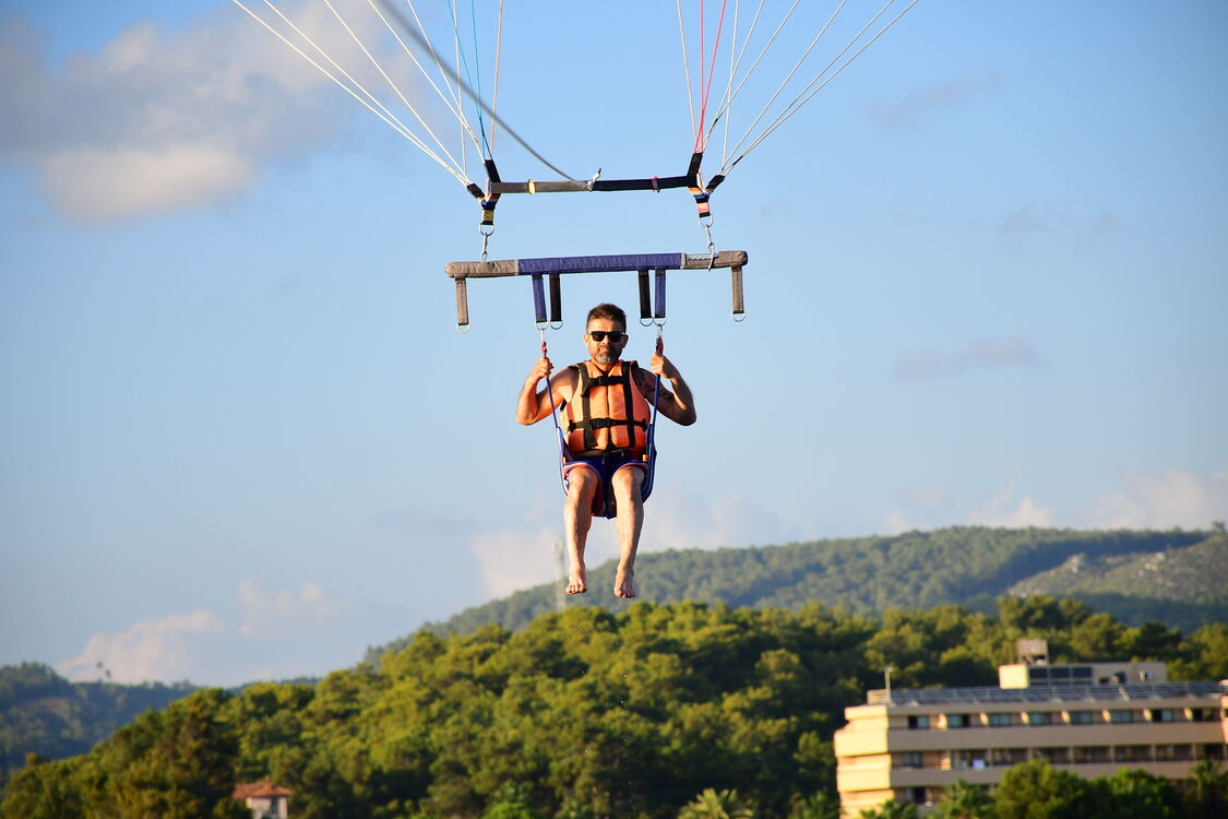  ?,   Ali Kemal, 42 ,   ,   