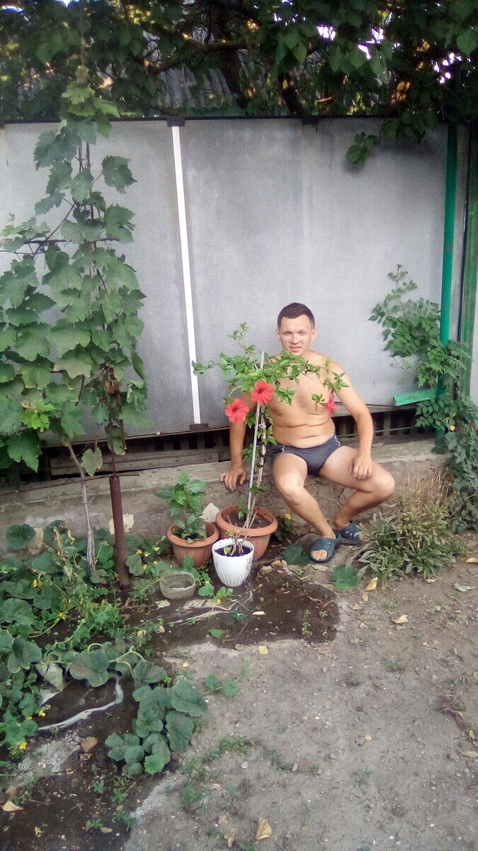  --,   , 34 ,   ,   