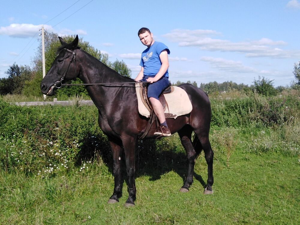  17513511  Vlad, 28 ,    