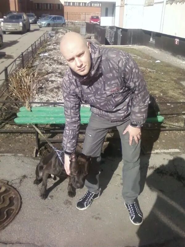 ���������� �����-���������, ���� ������� ������, 40 ���, ������������ ��� ������, ����� � ���������, c�������� ���������