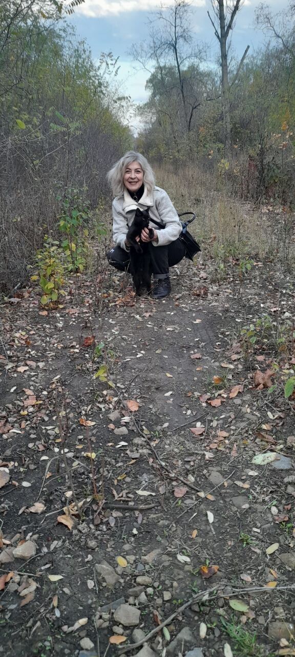 ���������� �������, ���� ������� ����, 55 ���, ������������ ��� c�������� ���������, ���������