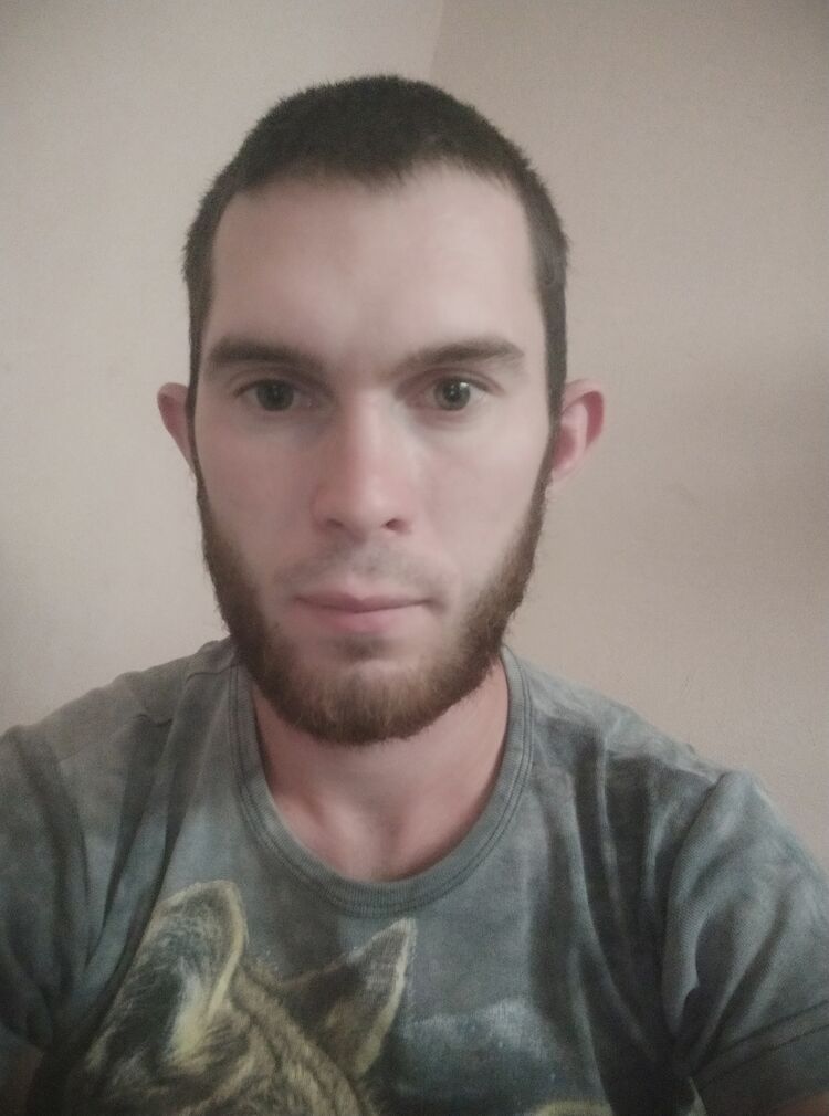  36568731  , 26 ,    