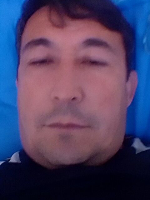  -,   , 55 ,  
