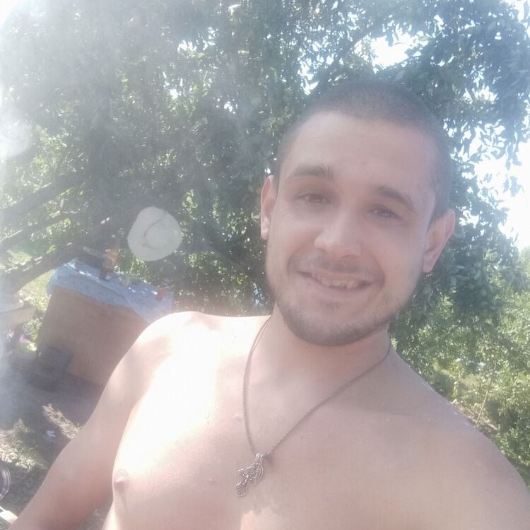  28555321  , 29 ,    