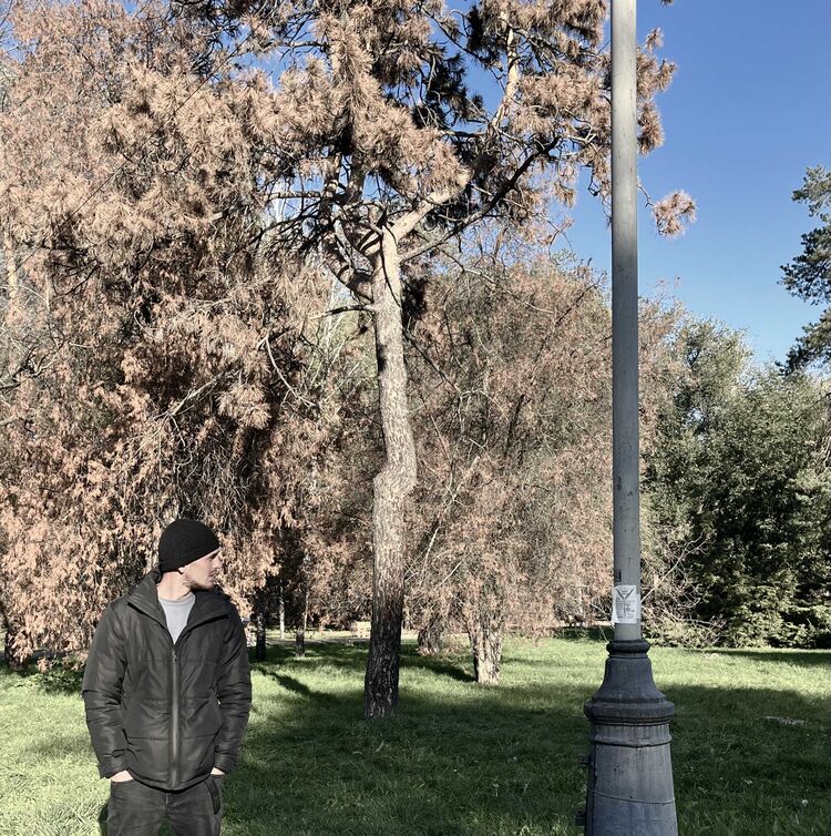 ���� 31034151 ����� �������, 23 ����, ���� ���������� � ���������������