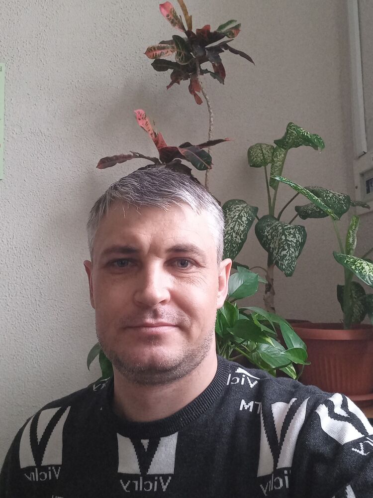 ���� 36805231 ������� �������, 40 ���, ���� ���������� � �����