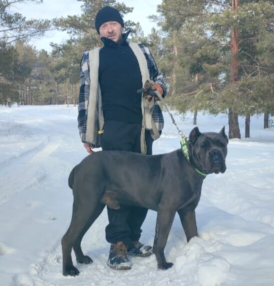 ���� 55230421 ������� ���������, 51 ���, ���� ���������� � �����