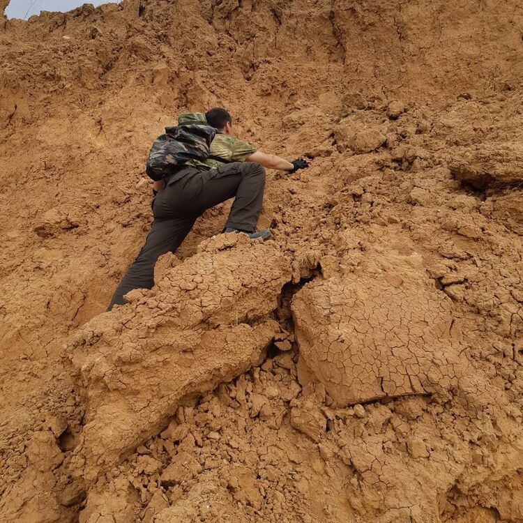 ���� 24581181 ������� ���������, 40 ���, ���� ���������� � ������