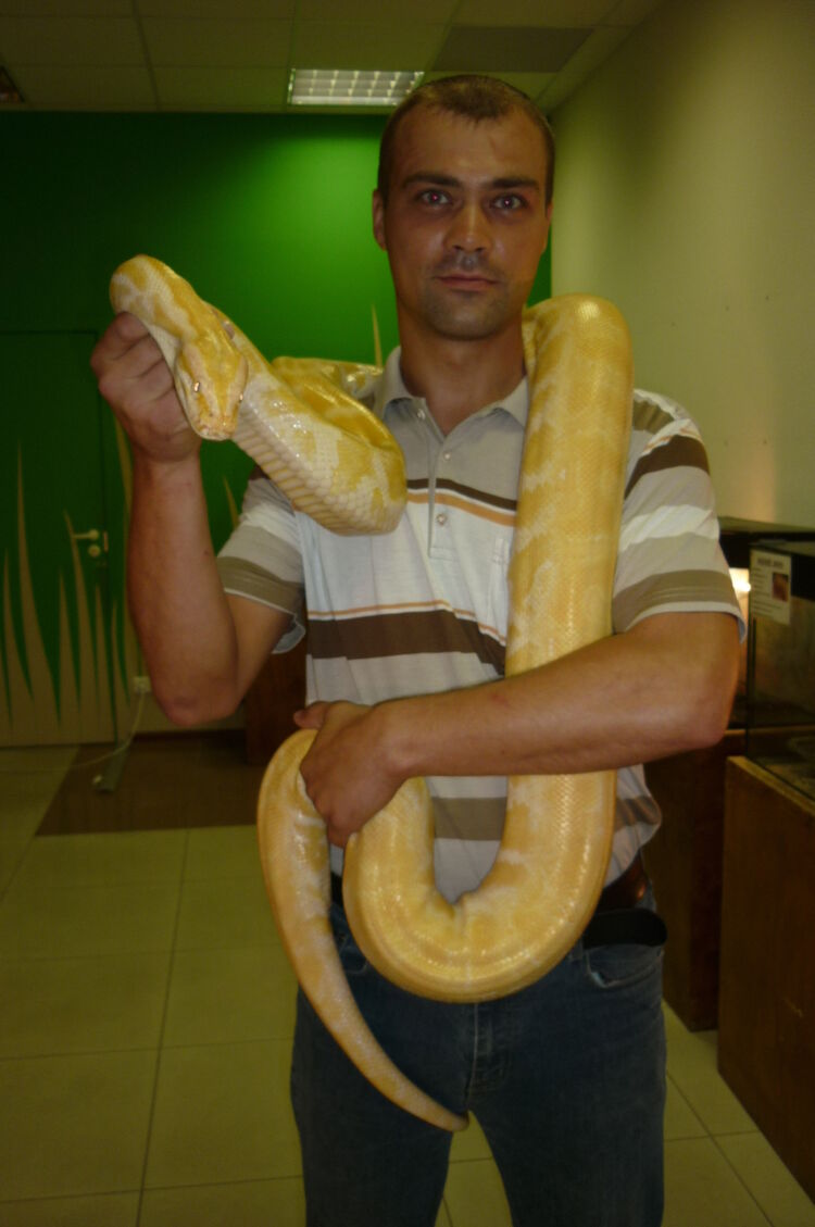  ,   , 44 ,     , c 