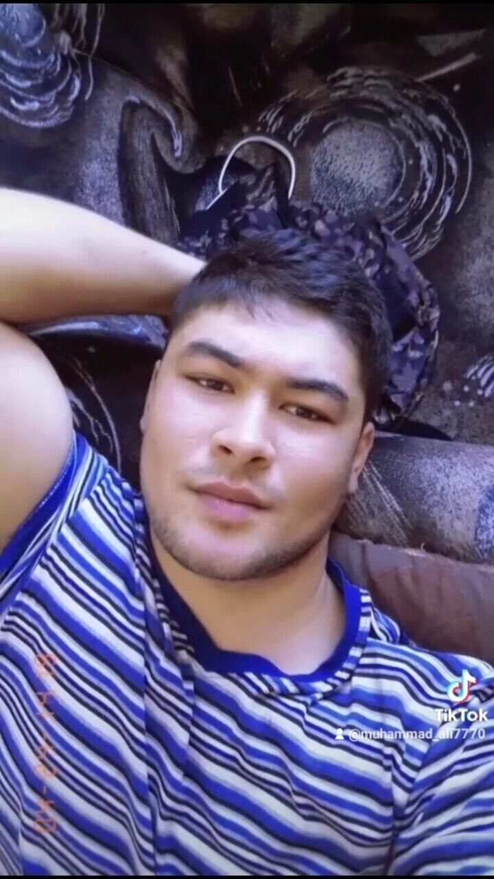  29426681  , 28 ,    -