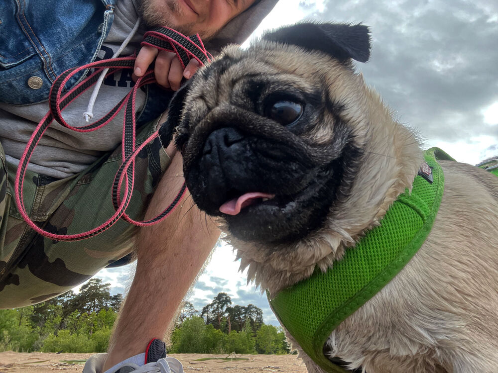 ���������� �����-���������, ���� ������� �������, 31 ���, ������������ ��� ������, ����� � ���������