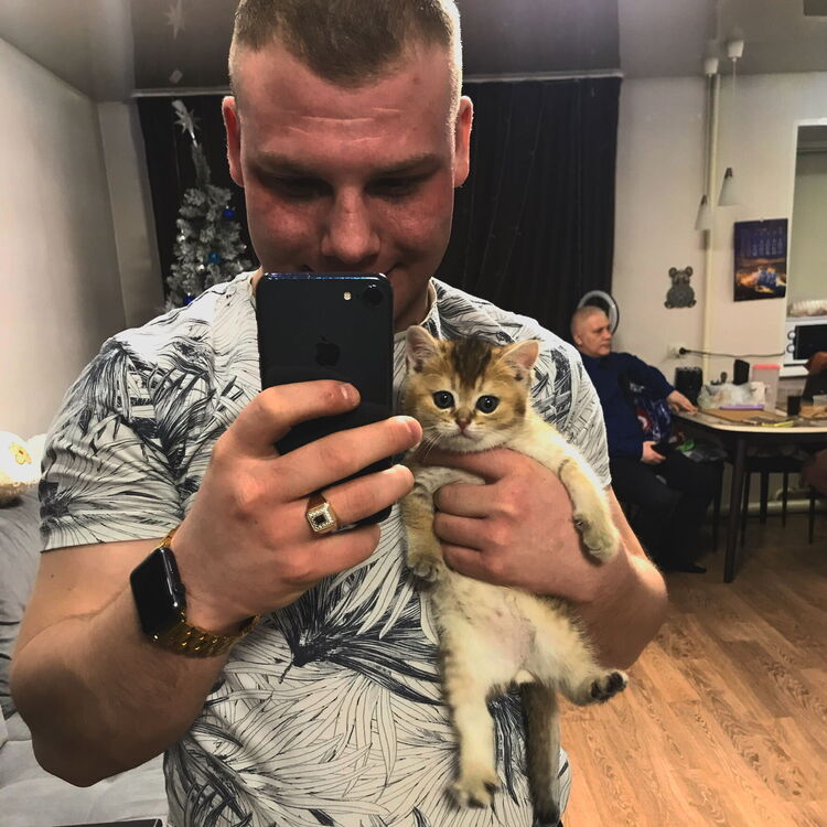 ���������� ������ ��������, ���� ������� ����, 28 ���, ������������ ��� ������, ����� � ���������, c�������� ���������