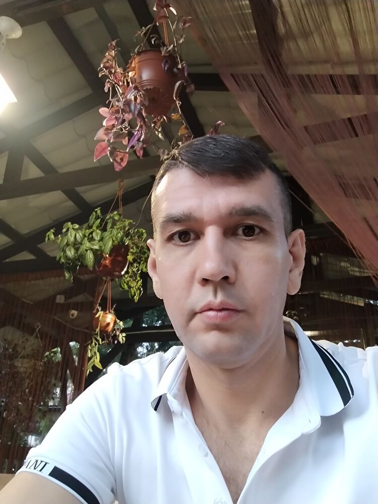 ���� 38708651 ������� ������, 48 ���, ���� ���������� � ����������