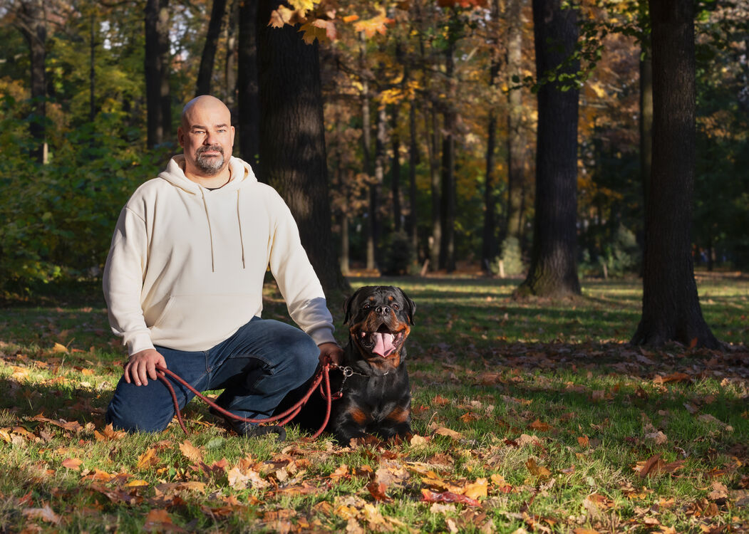  54534331  , 42 ,    -