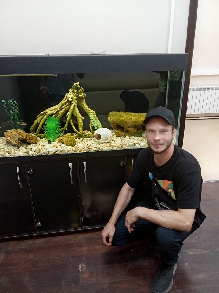 ���������� �����������, ���� ������� ������, 41 ���, ������������ ��� ������, ����� � ���������