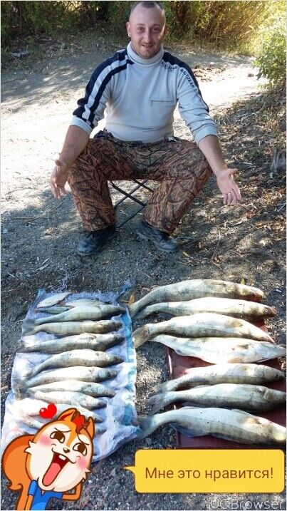 ���� 10404281 ������� �������, 36 ���, ���� ���������� � ��������