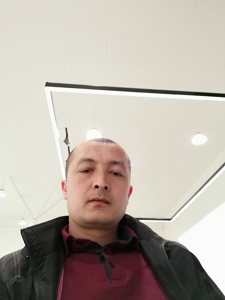  39394151  , 41 ,    