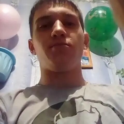  45341561  , 26 ,    
