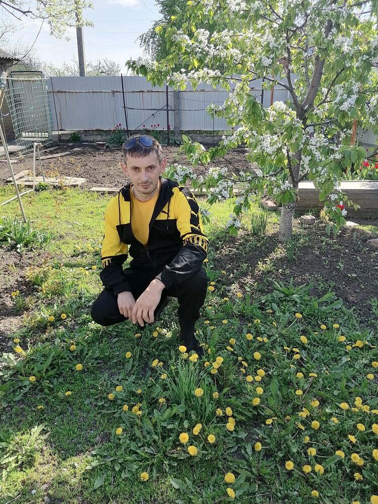  24045321  , 38 ,    