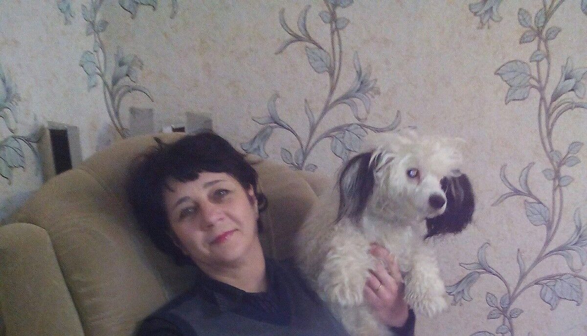  ,   , 56 ,  