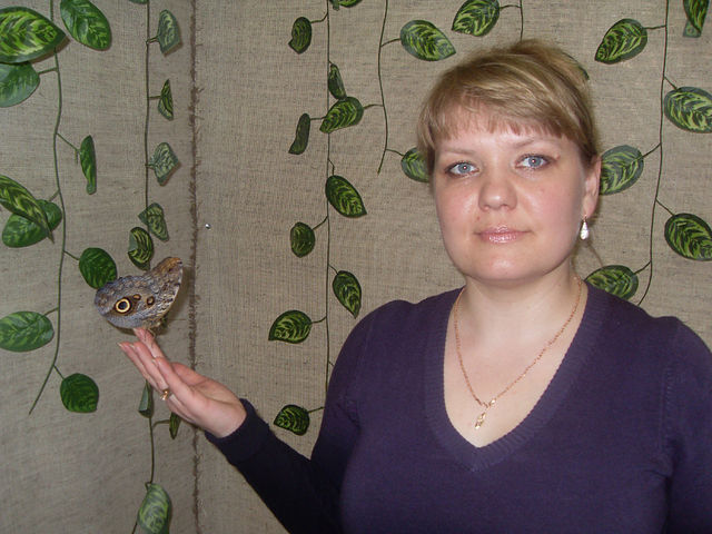 ���������� ����, ���� ������� �������, 51 ���, ������������ ��� ������, ����� � ���������, c�������� ���������