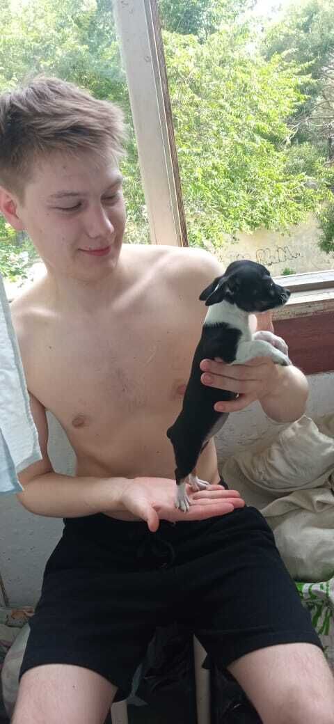 ���� 27950501 ����� �����, 25 ���, ���� ���������� � ����������