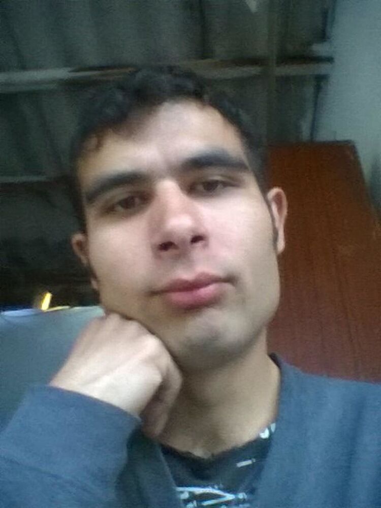 ���� 41097161 ����� ����, 24 ����, ���� ���������� � �������